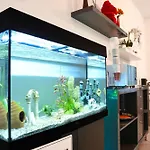 Smart Отель *